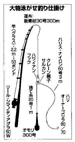 八丈島アサギク 仕掛け